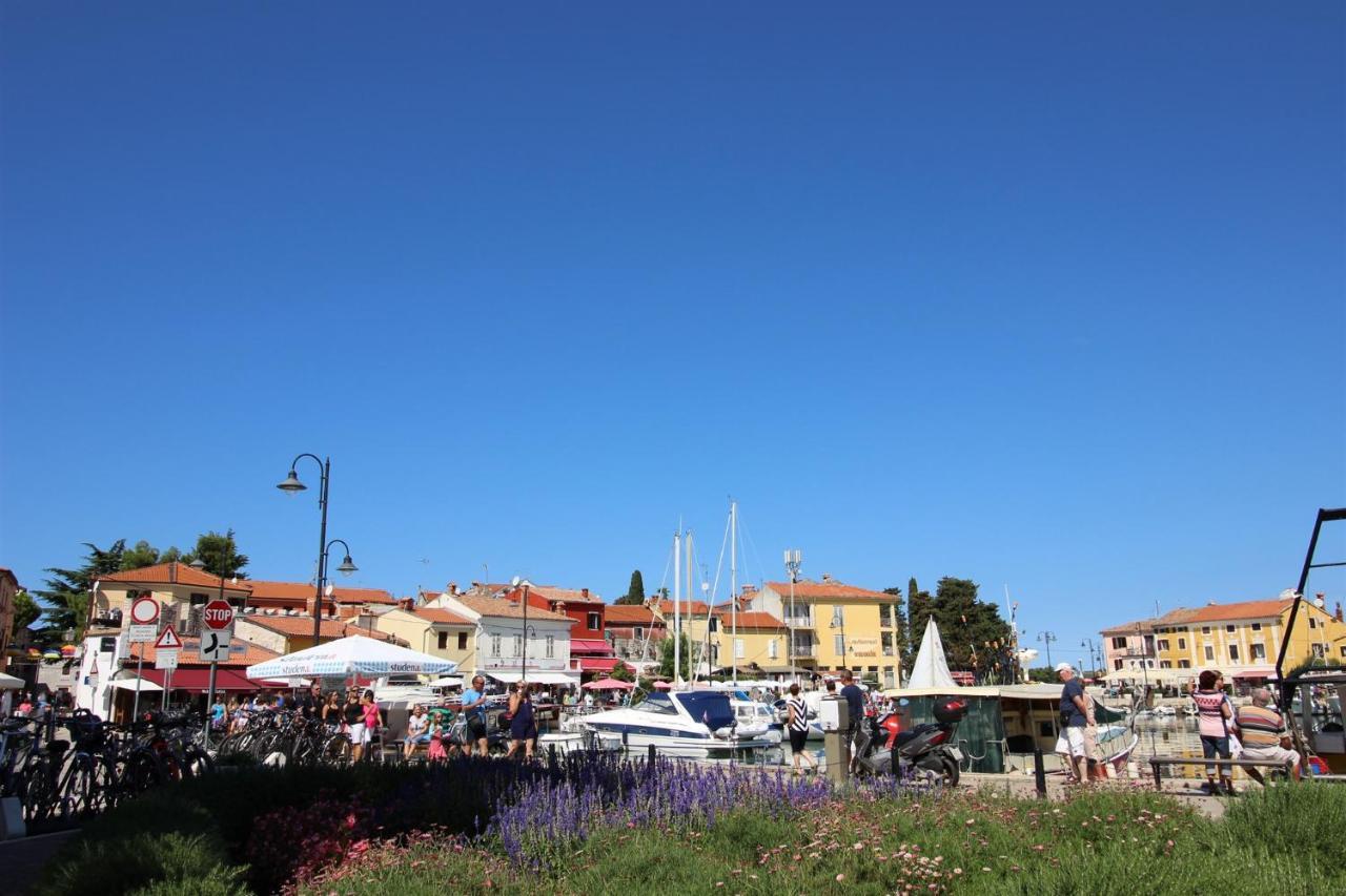 Apartmán Gianna A4+2 Novigrad Istria Exteriér fotografie